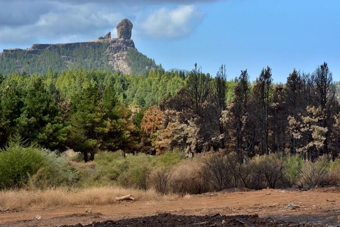 INCENDIO CUMBRE