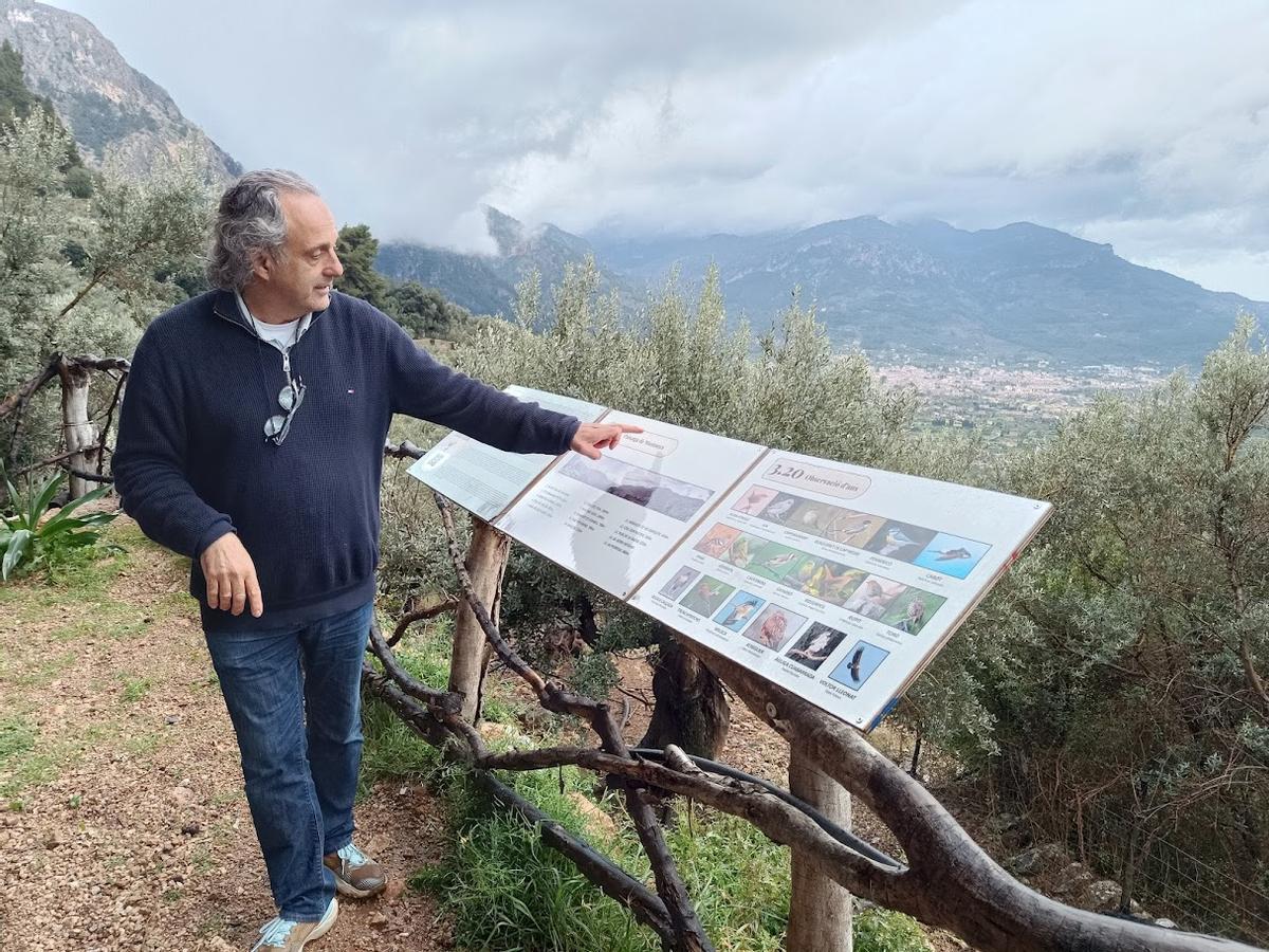 Miquel Gual.