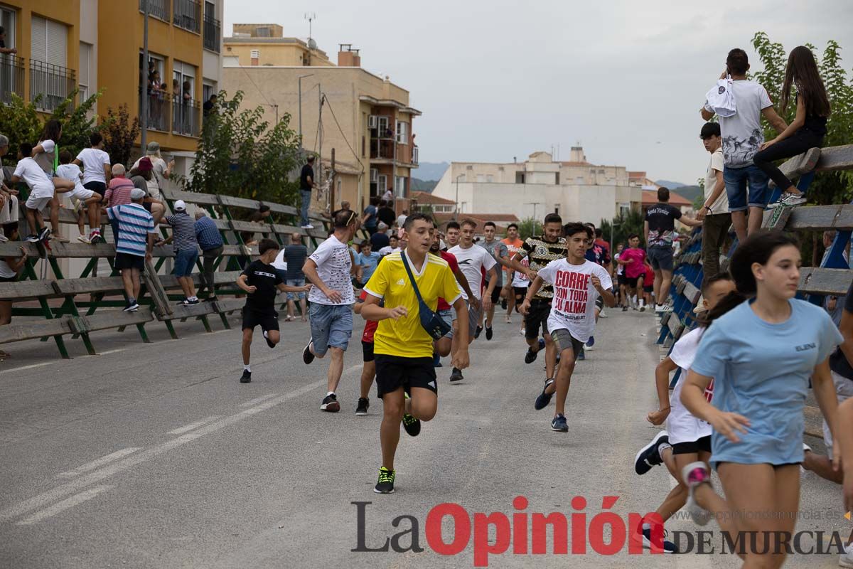 Chupinazo y encierro chico en Calasparra