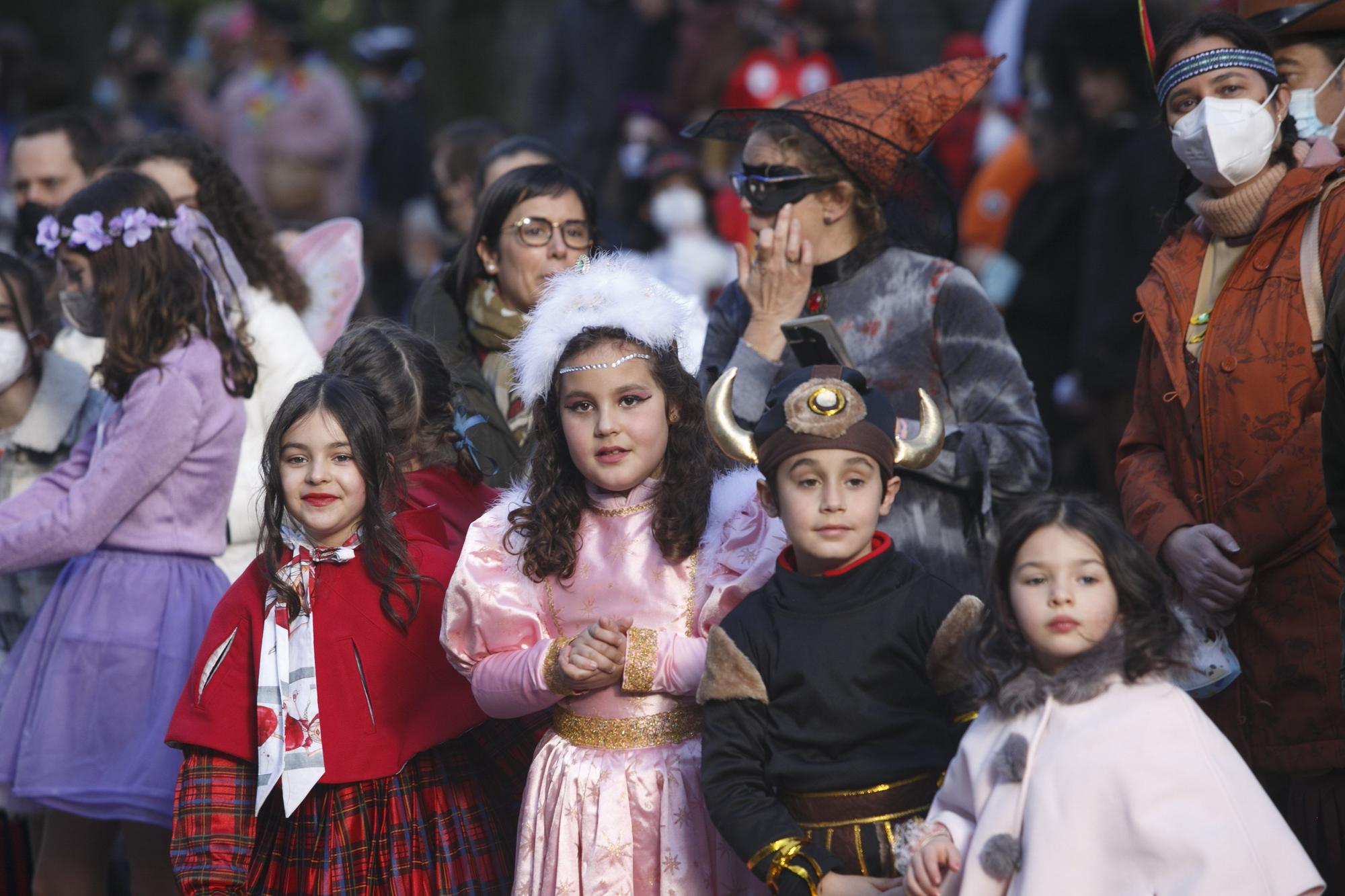 Galería de fotos: Así fue el gran desfile del carnaval en Oviedo