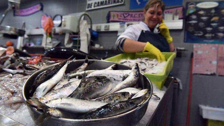 Sardinas a la venta en un puesto de la plaza de Lugo.