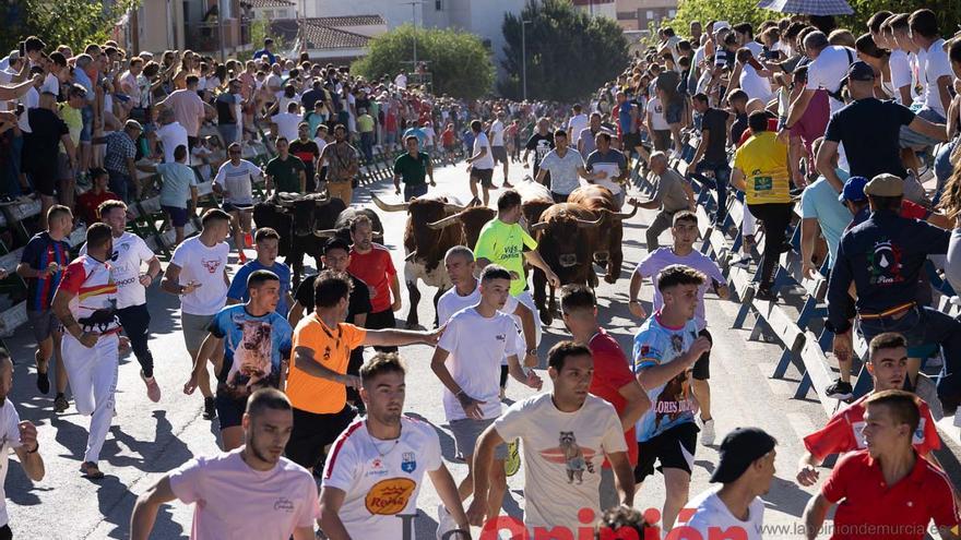 Segundo encierro en la Feria del Arroz de Calasparra