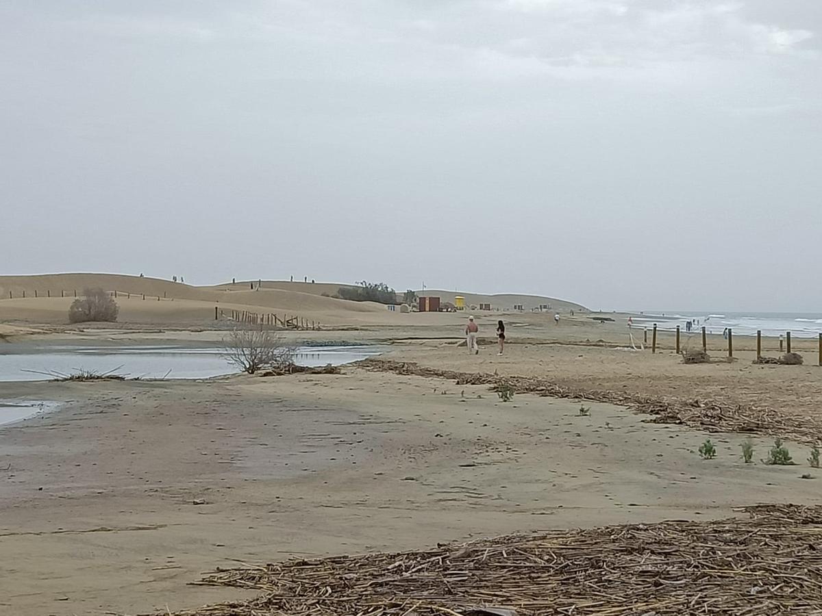 Los turistas paseando.