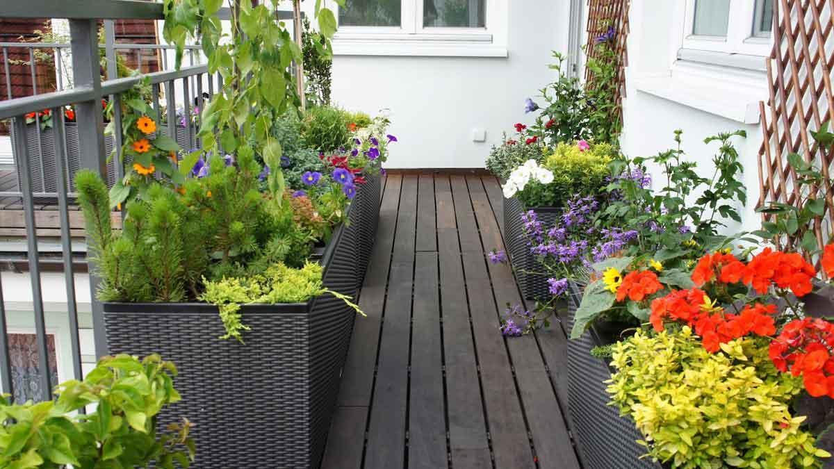 Balcón con plantas y flores