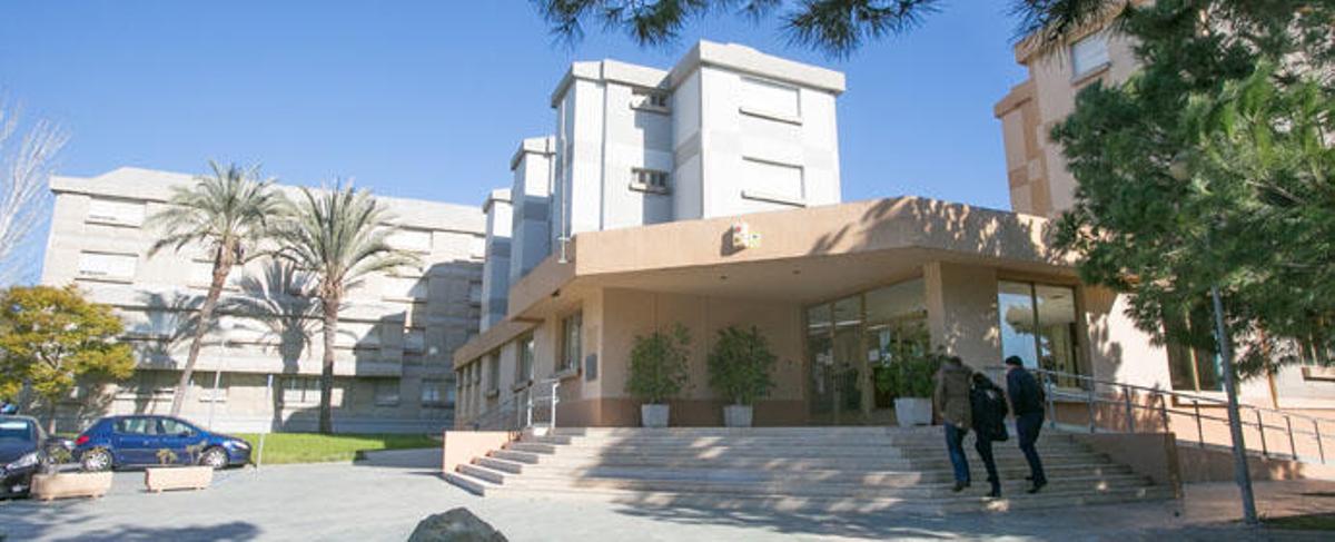 La UA reforma el colegio mayor para dar la carrera de Medicina en el curso 2018-19