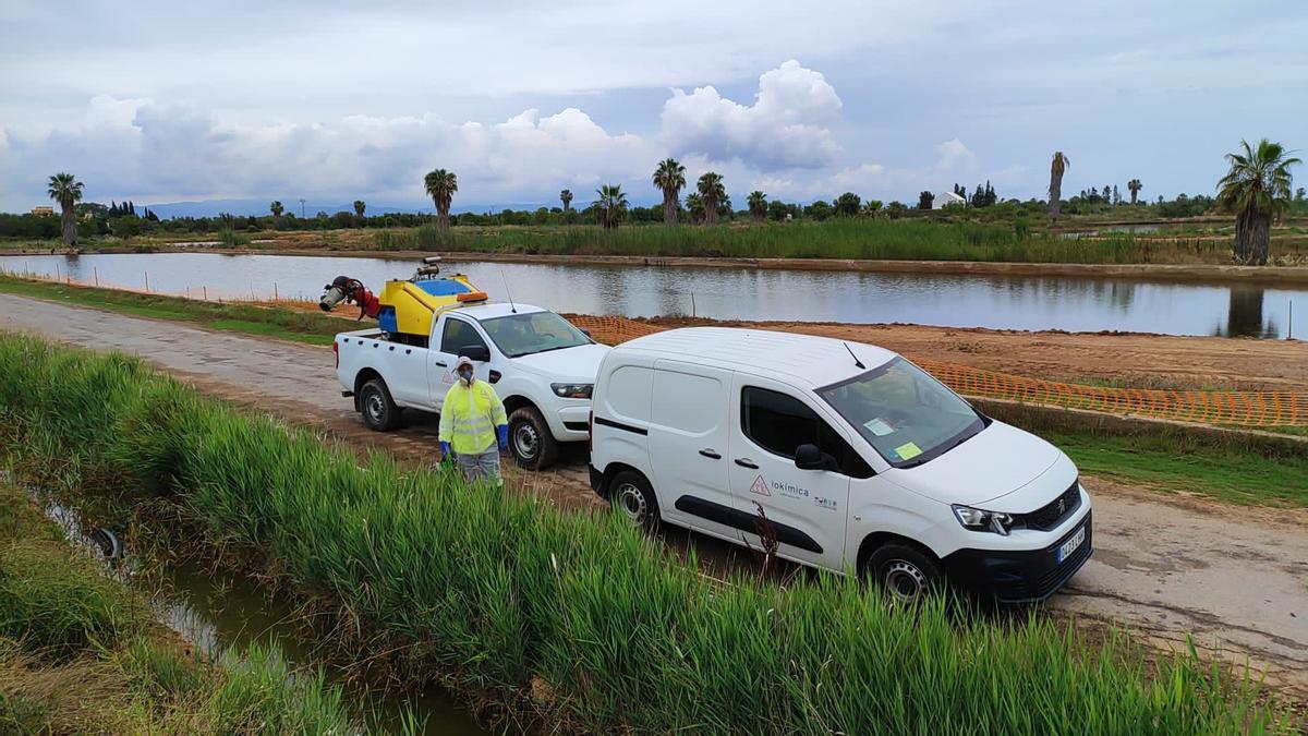 El Ayuntamiento de Burriana ha intensificado los tratamientos para evitar la proliferación de mosquitos a raíz de las lluvias recientes y ante las quejas vecinales por las molestas picaduras.