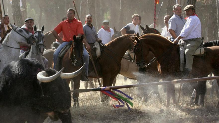 El Toro de la Vega en una imagen de archivo.