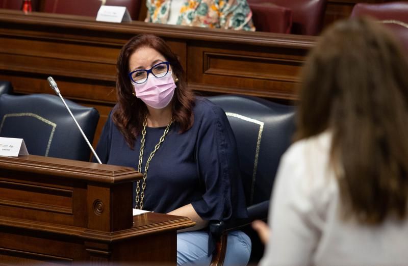 Pleno del Parlamento de Canarias.