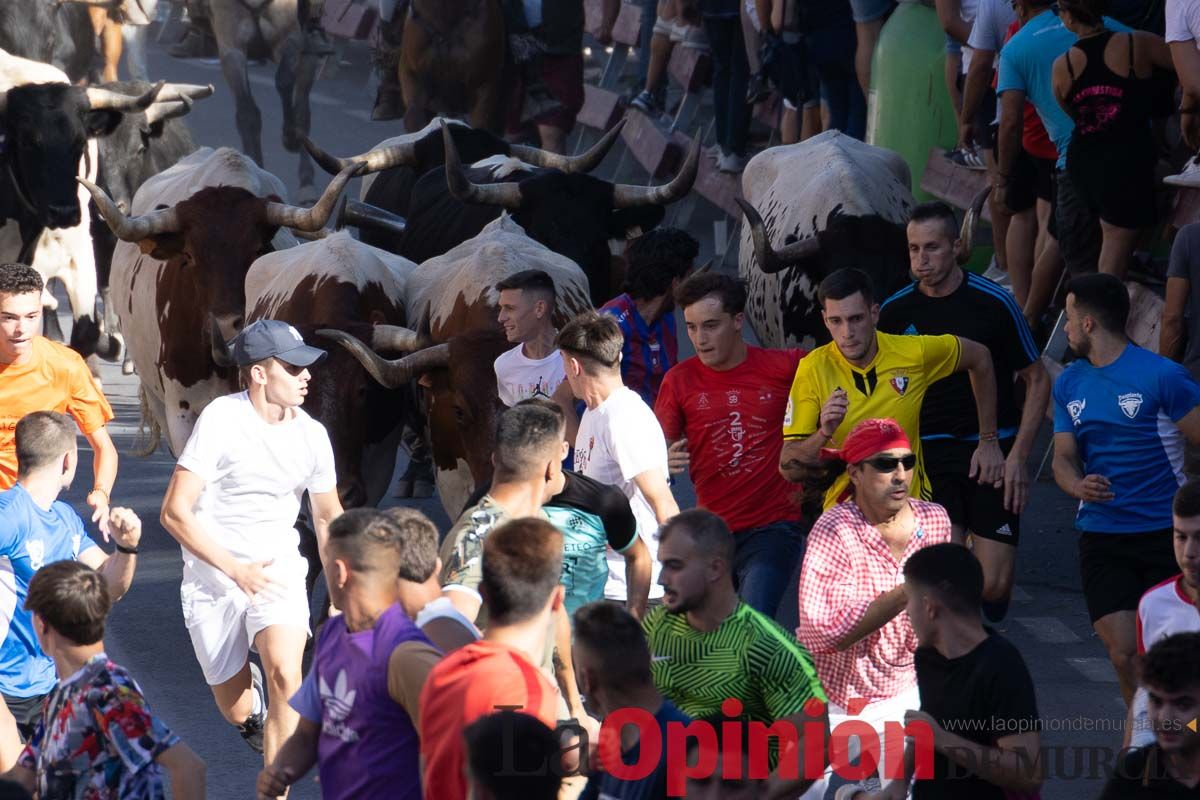 Último encierro en las Fiestas de Moratalla