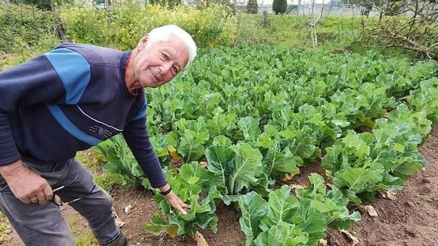 La huerta de Tino (II)