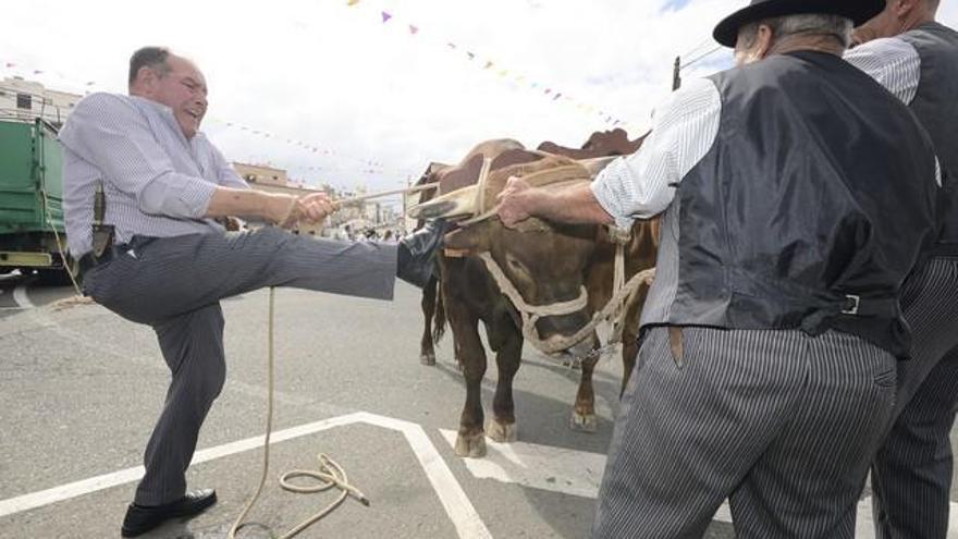 Romería del Carmen en La Isleta