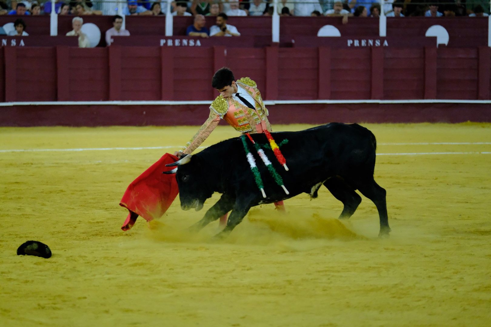 XVI Certamen Internacional de Escuelas Taurinas La Malagueta