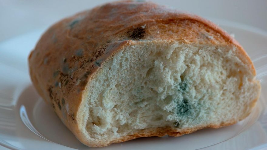 El restaurante asturiano peor valorado tras comer allí: &quot;Vergonzoso&quot;, &quot;horrible&quot;