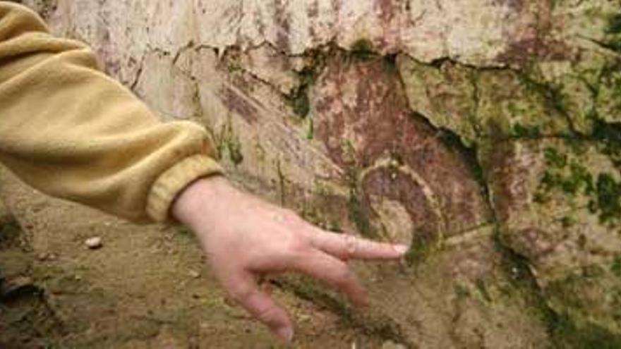 La excavación en las Casas Mudéjares descubre un jardín andalusí del siglo XII