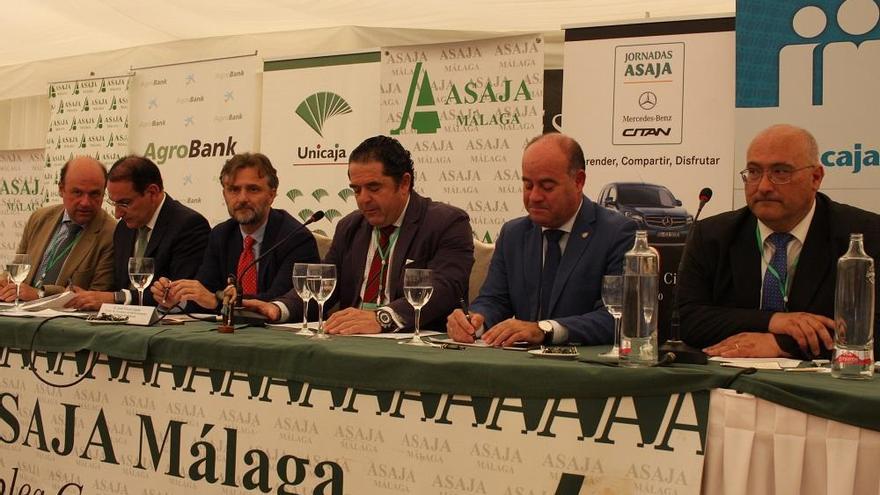 González de Lara, José Fiscal, Baldomero Bellido, Manuel Barón y Benjamín Faulí, ayer en Antequera.