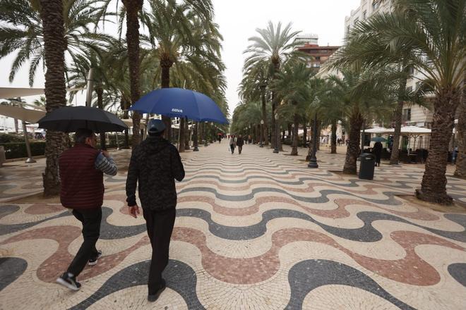 Primeras gotas de la "lluvia de sangre" en Alicante
