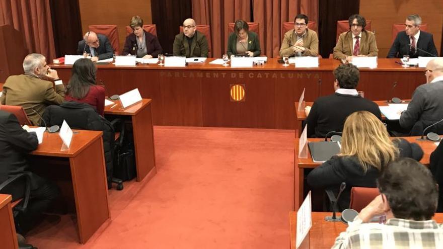 El Parlament aprova recórrer al Constitucional l&#039;aplicació del 155