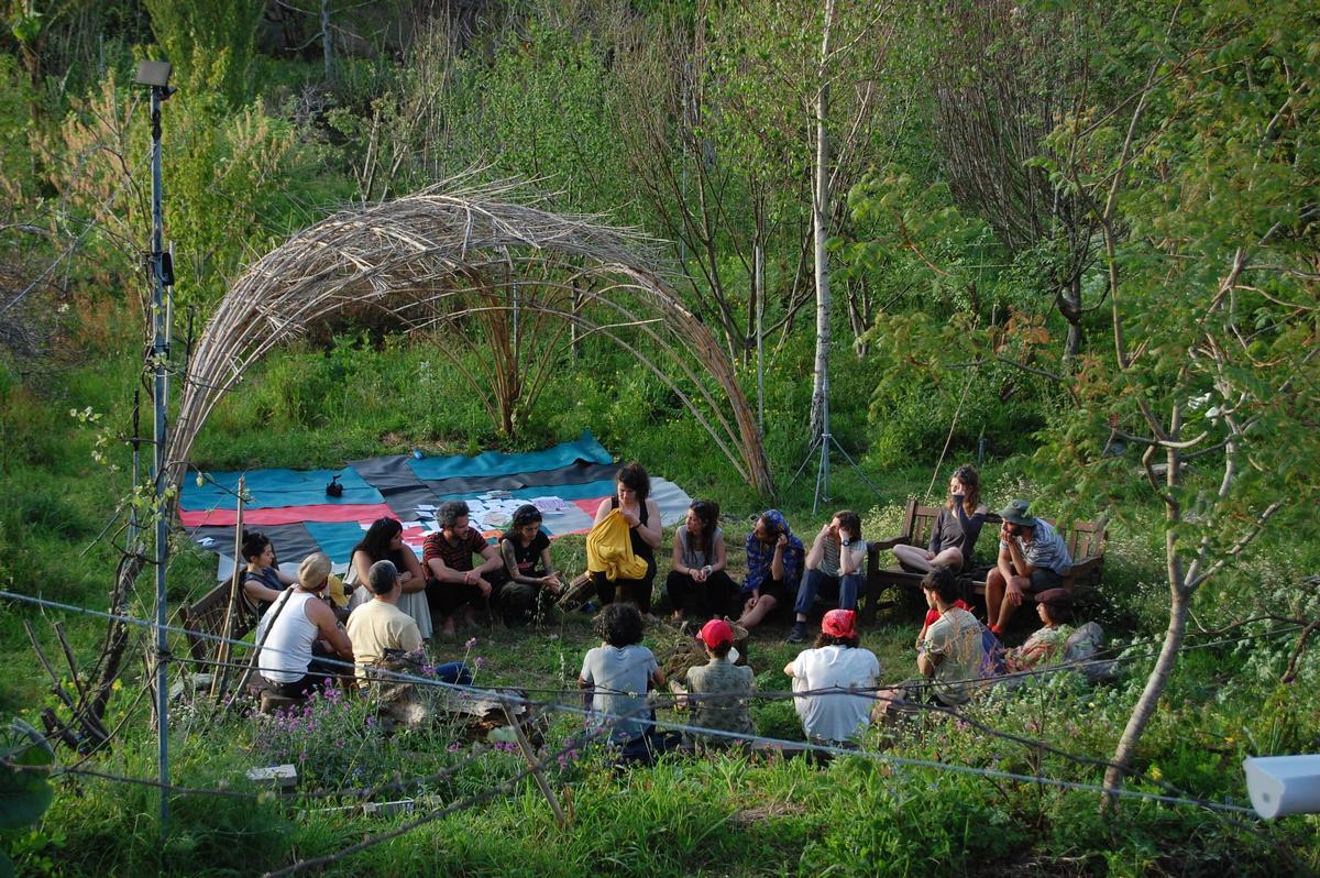 Obradoiro de plantas bioindicadoras