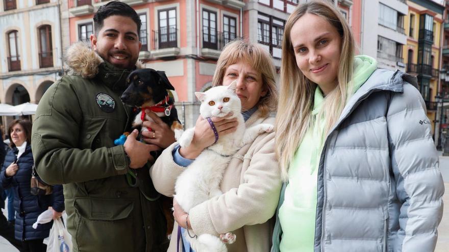 El paréntesis gozoso de una familia ucraniana que aumentará en Avilés: &quot;Creíamos que no iba a pasar nada&quot;