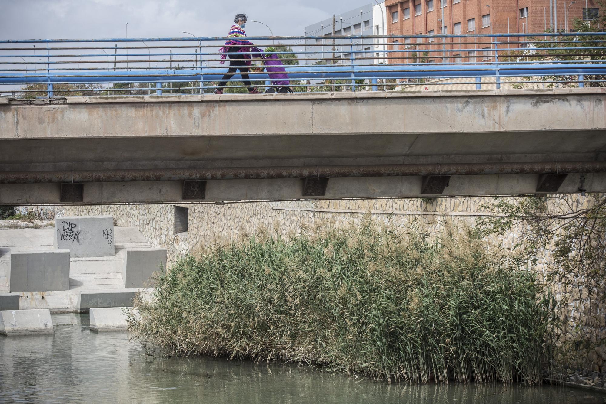 Nadie quiere limpiar el Barranco de las Ovejas en Alicante