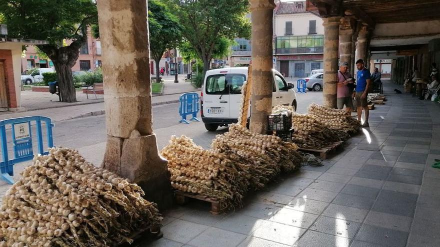 Toro se resiste a perder la feria del ajo, que regresa Santa Marina