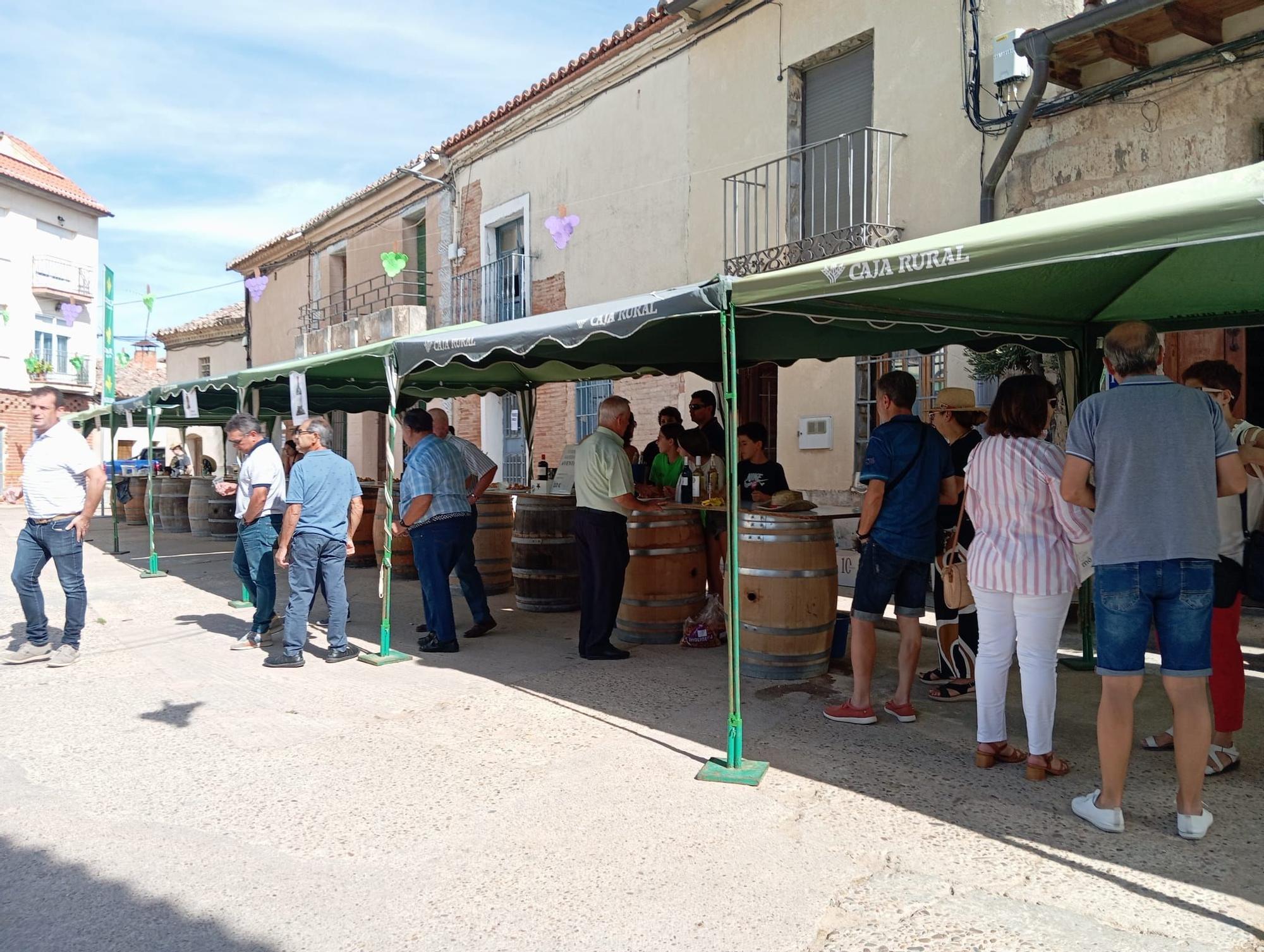 GALERÍA | Revive la Fiesta de la Vendimia de Morales de Toro