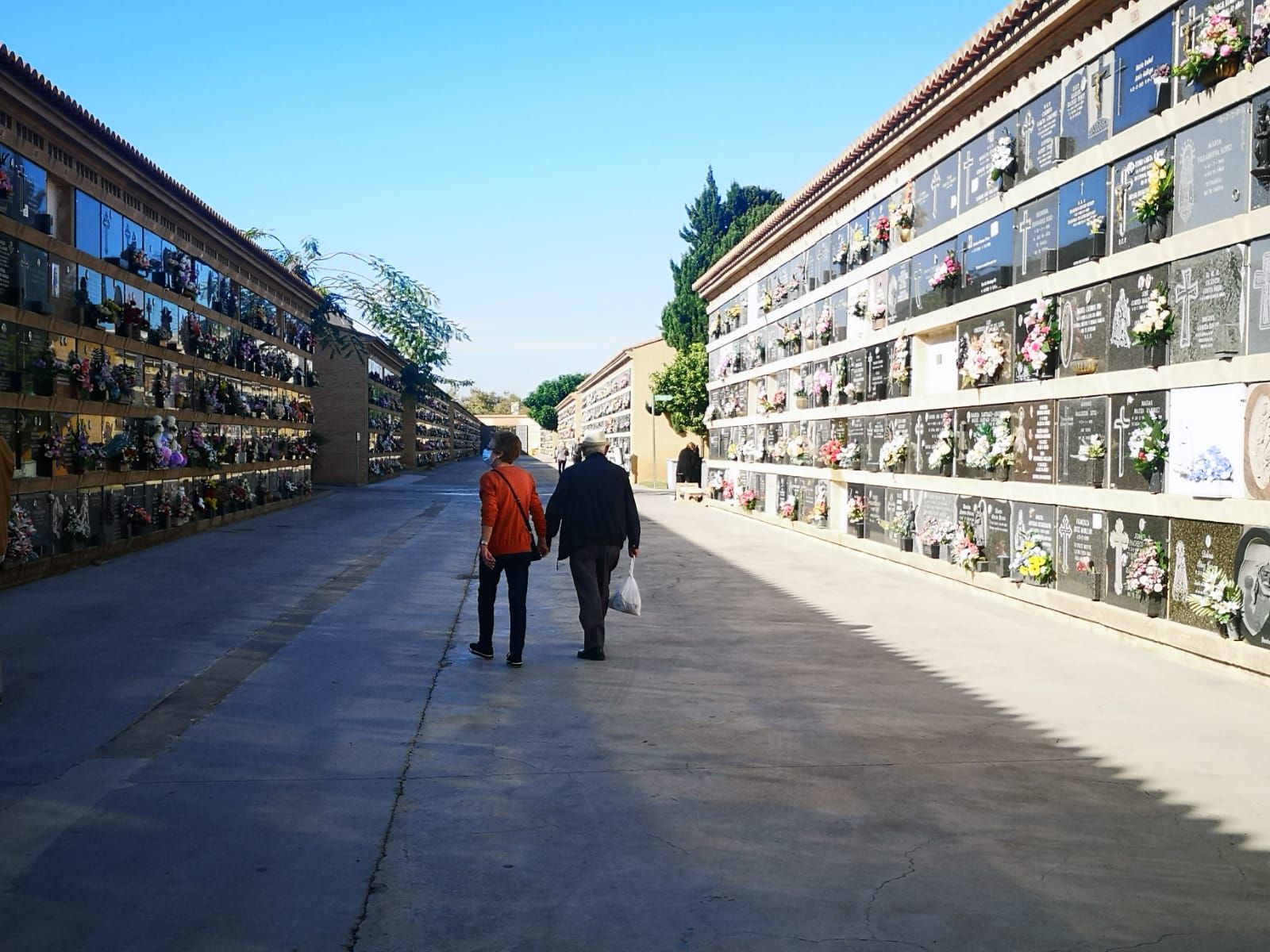 Todos los Santos sin gente en el cementerio de València