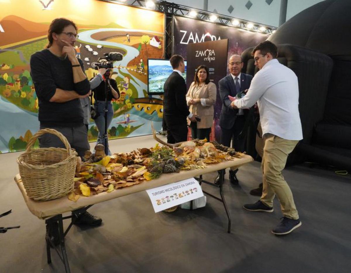 Exposición micológica en el stand de Zamora. | J. L. F.