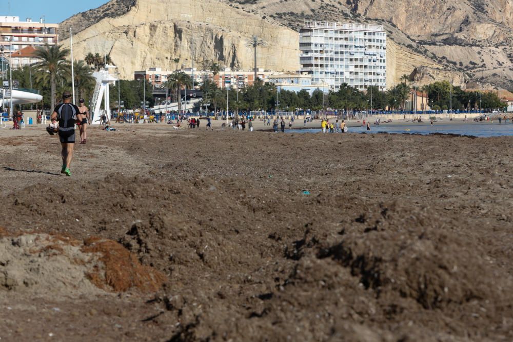 Alicantinos y turistas disfrutan a 20 grados de un