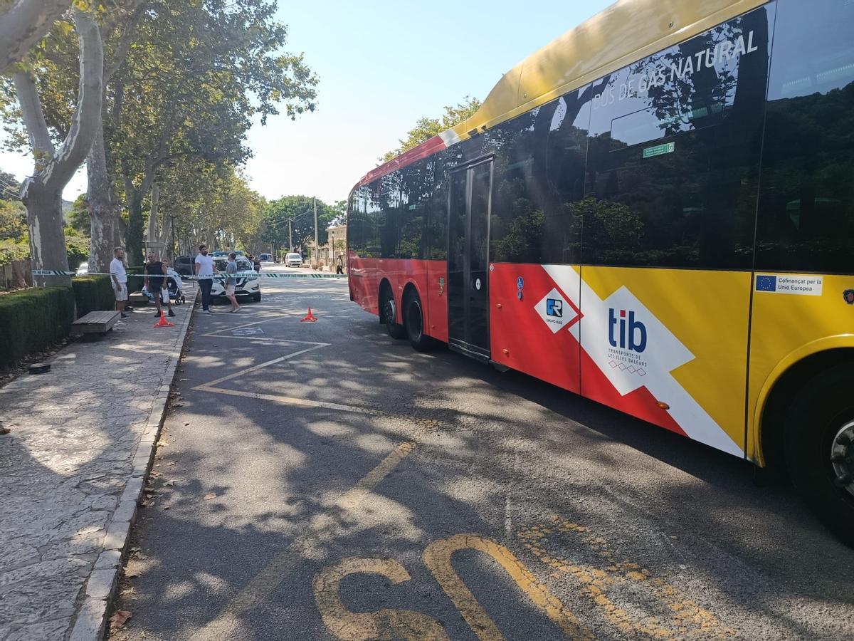 La farola caída tras ser golpeada por un autobús en Valldemossa