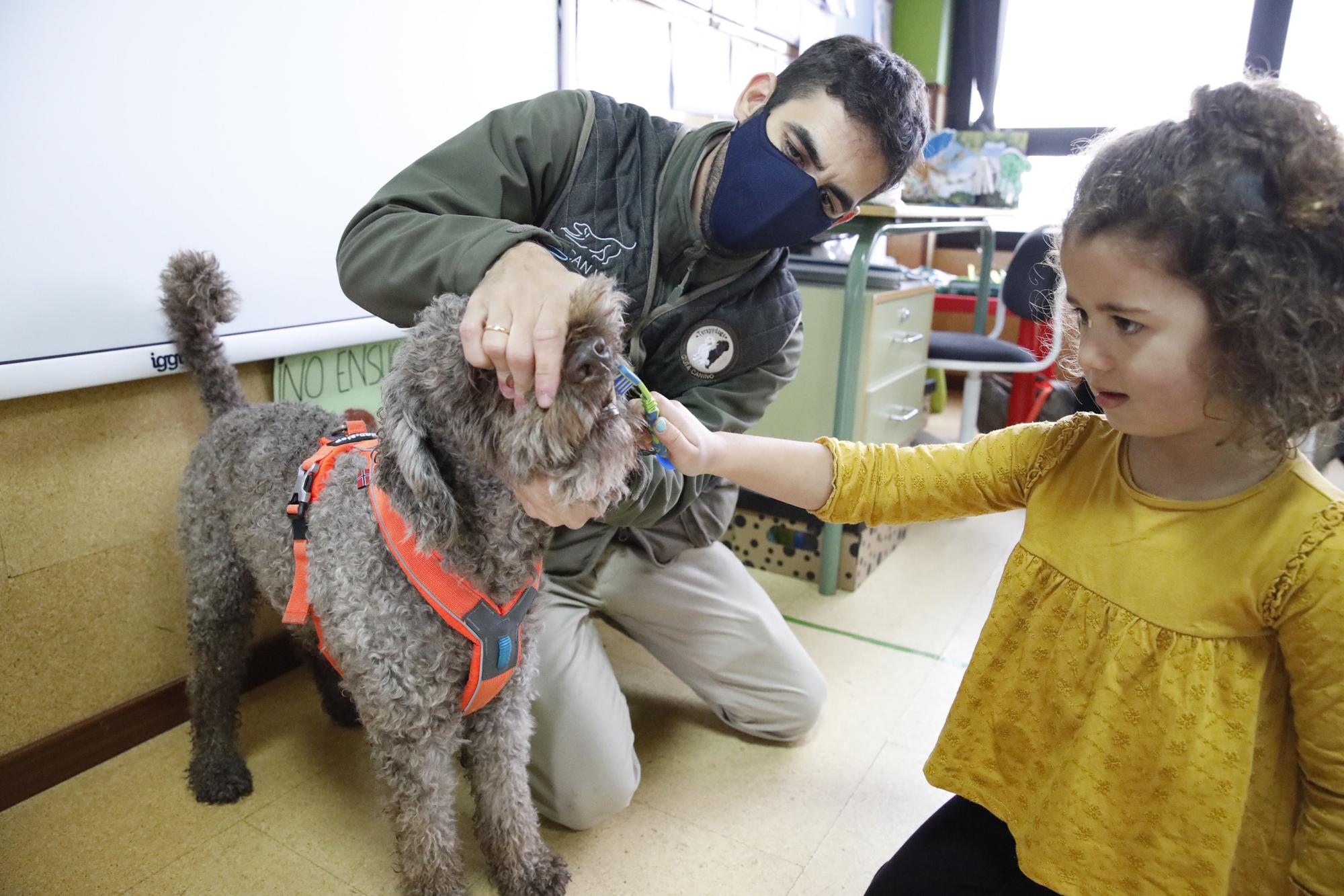 Los niños de Los Pericones aprenden en clase a lavarse los dientes con perros