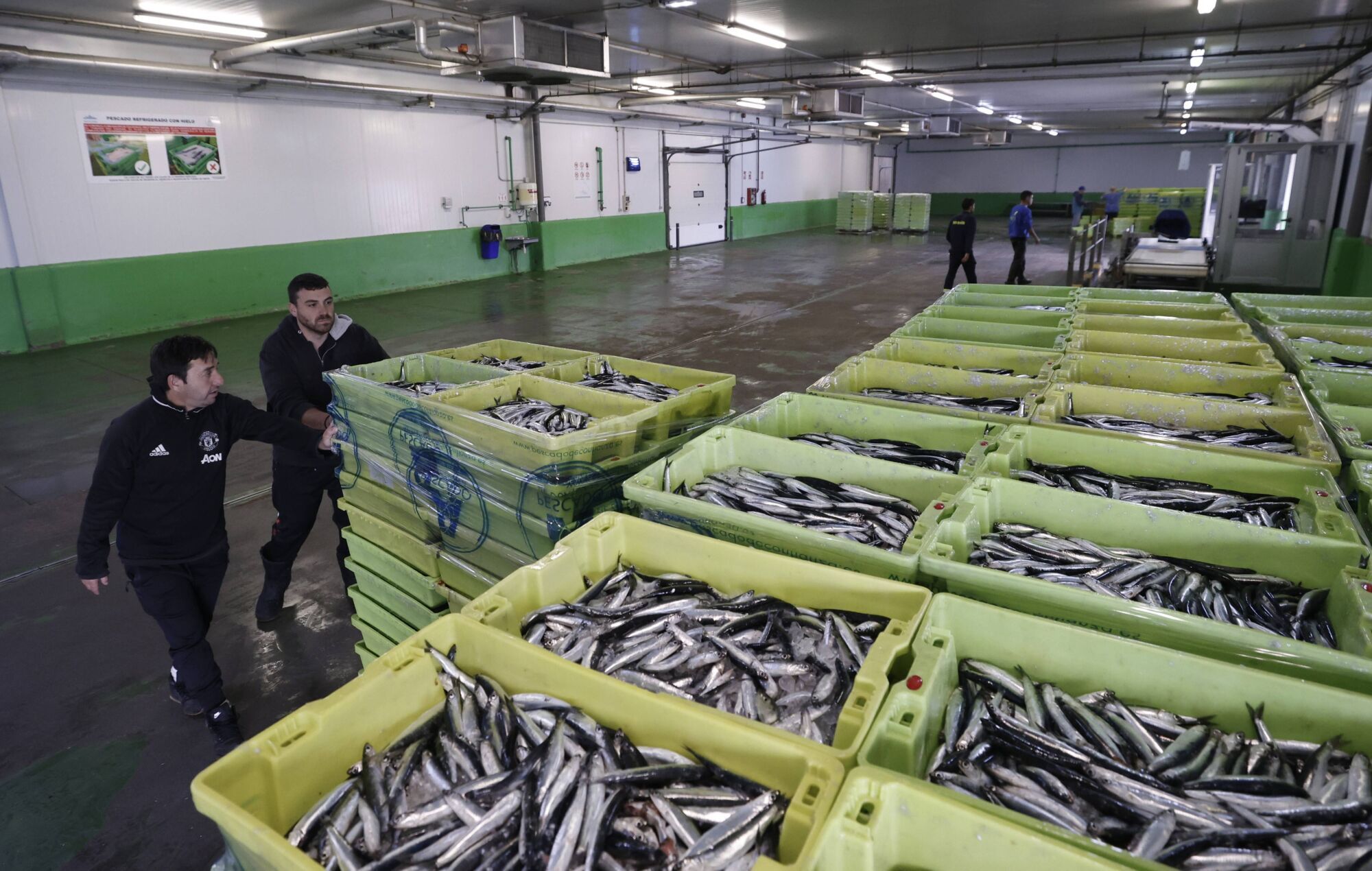 Ferrán Adrià, entre bonitos y bocartes, elogia la capacidad de Asturias de "innovar desde el mar"