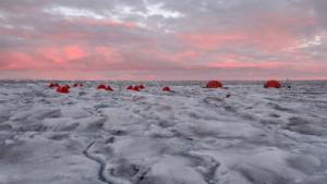Hielo decolorado en Groenlandia, impulsado por comunidades biológicas.