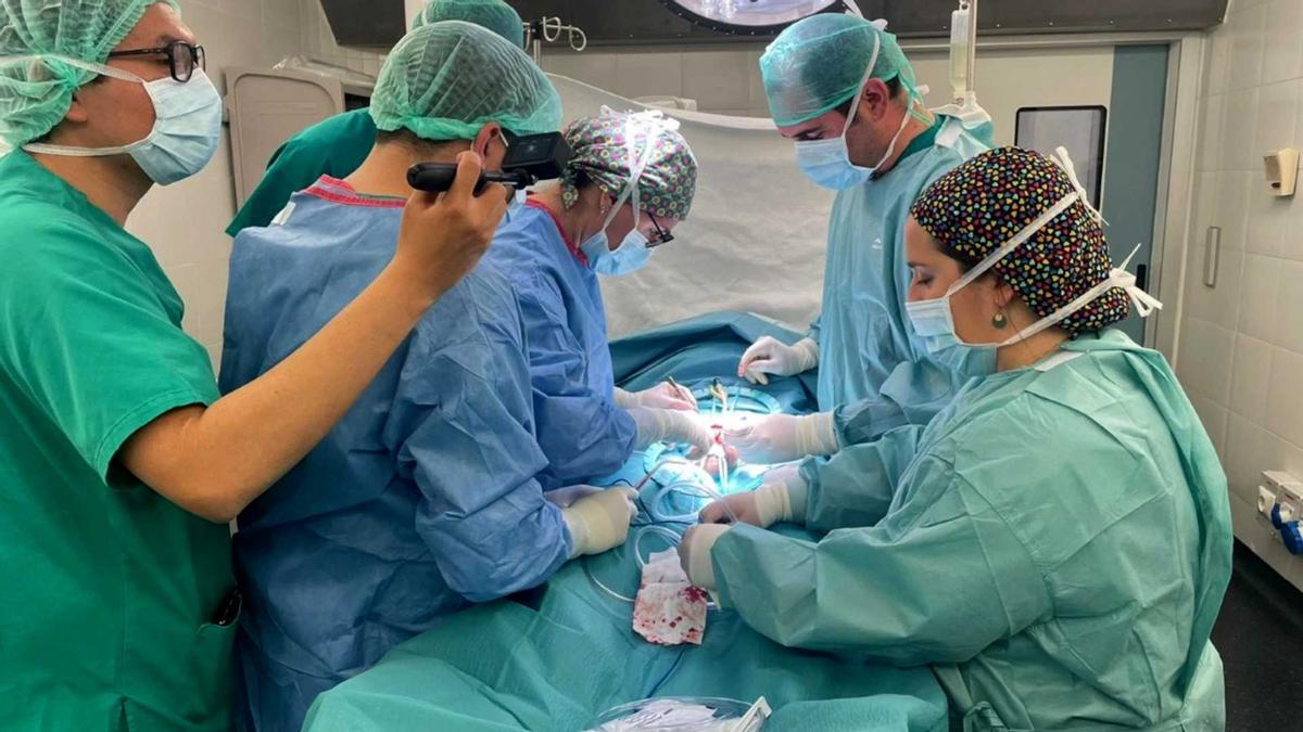 Moment de la primera intervenció per implantar una pròtesi de penis a l'Hospital Joan XXIII.