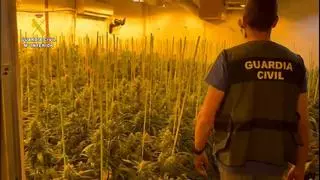 El 12% de la energía eléctrica defraudada en Córdoba procede de plantaciones de marihuana