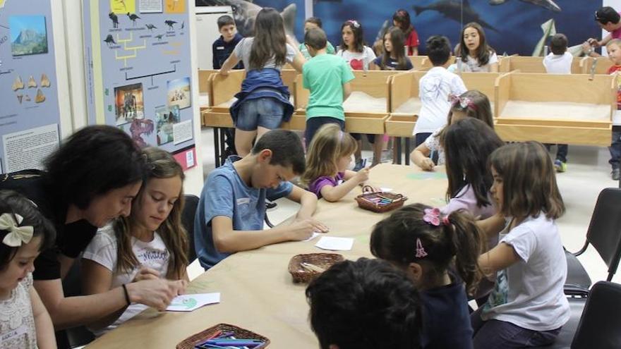 Talleres en el Museo de Paleontología de Elche.