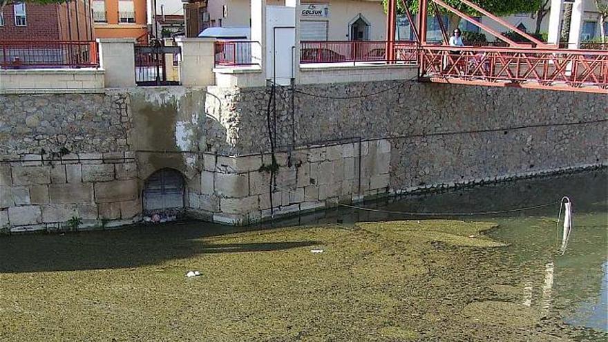 Dos imágenes del aspecto que presenta el río Segura a su paso por Rojales estos últimos días.