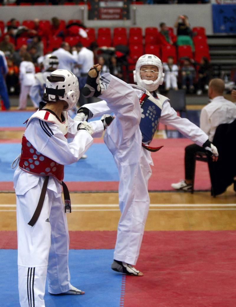 Trofeo Ciudad de Zaragoza de taekwondo