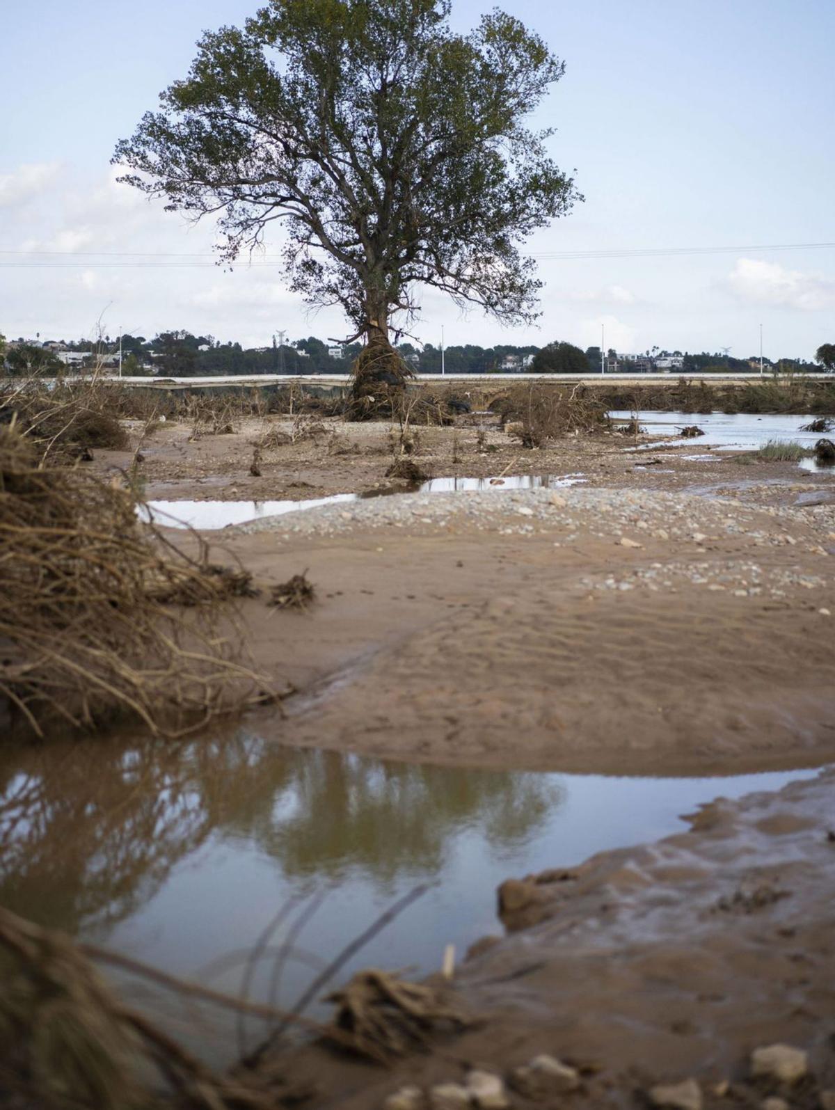 El parque fluvial del Túria, totalmente desdibujado a su paso por Riba-roja de
Túria.