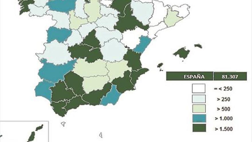 Los delitos de cibercriminalidad se duplican en seis años en Cáceres