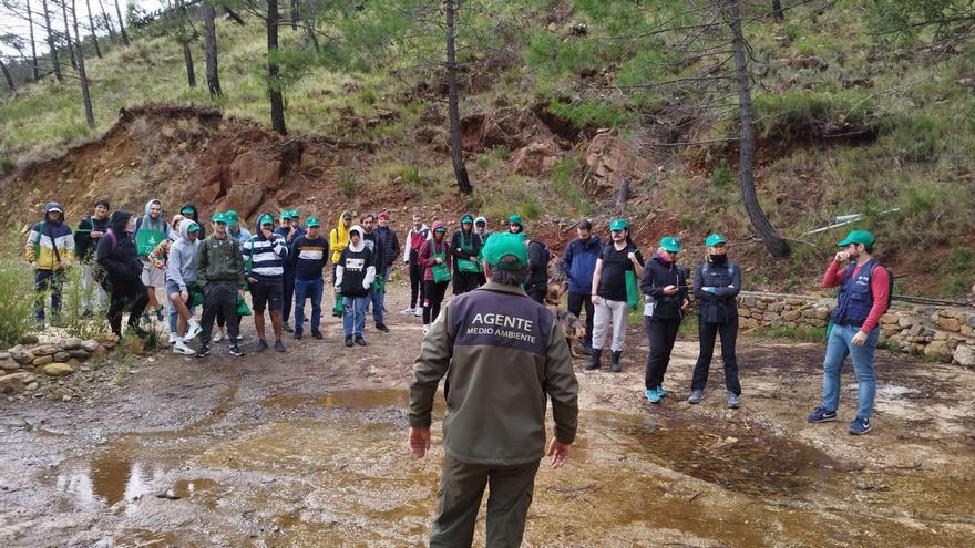 A lo largo de 25 jornadas se van a plantar unos 20.000 plantones de especies propias de las zonas afectadas por el incendio del 2021