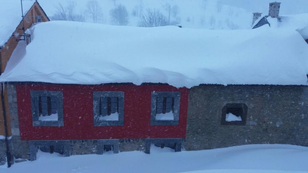 Así luce Somiedo bajo un manto de nieve