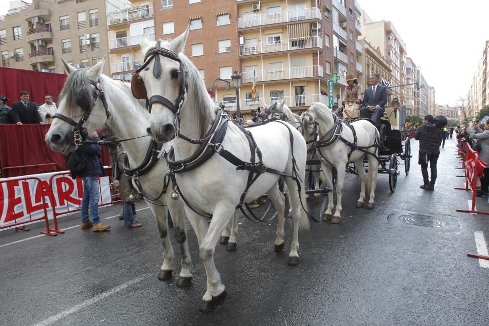 Sant Antoni en Valencia 2017