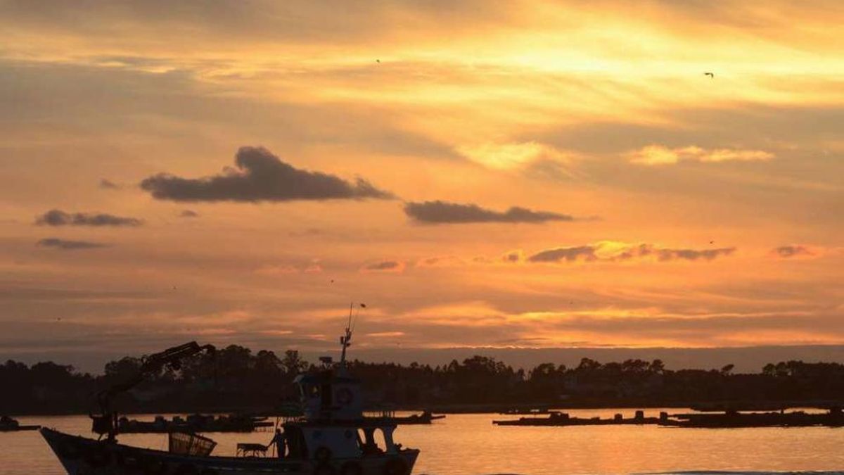 Barcos y bateas en la ría de Arousa.