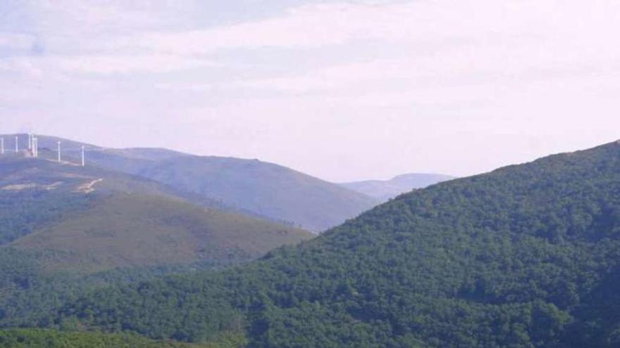 Vistas de los montes de Bustelos. // Bernabé