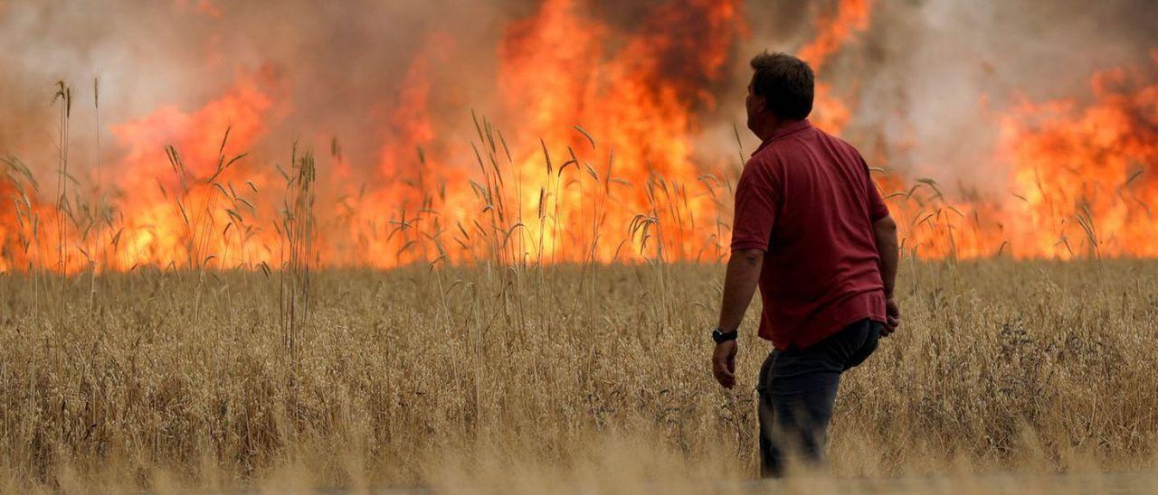 Un campo de cereal arde en Tábara.