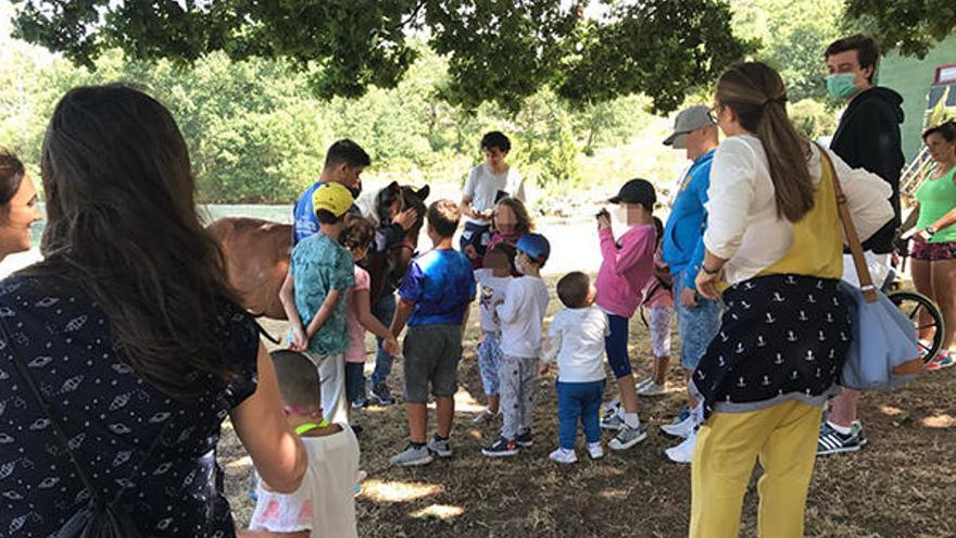 Pequeños pacientes, de excursión