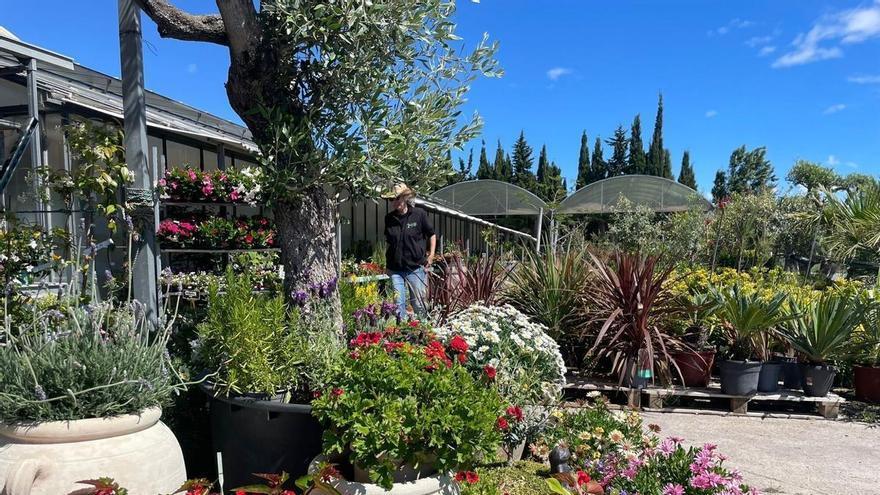 Vivers Garden Sant Pere, un referent per transformar jardins i terrasses