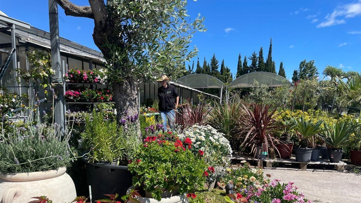 Vivers Garden Sant Pere.