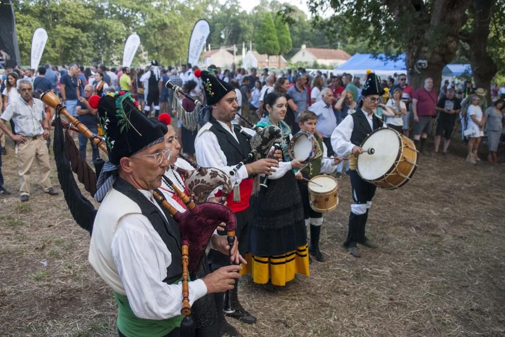 El alcalde de Vigo ofreció su pregón en una fiesta que sumó 8.000 comensales, mientras que las xoubas y el maíz fueron los protagonistas de las 37 propuestas del concurso.